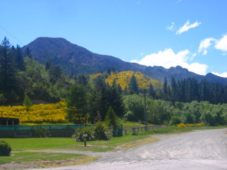 Hanmer Springs Thermal Pools