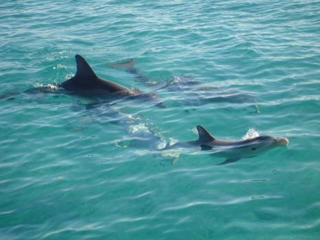 Kaikoura