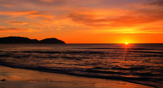 Kapiti Island