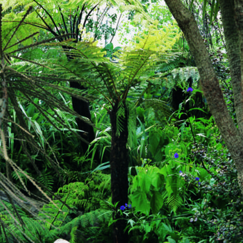 Kapiti Island
