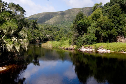 Karori Wildlife Sanctuary