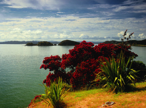 Kauri Cliffs Golf Club