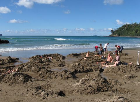 Kawhia Harbour