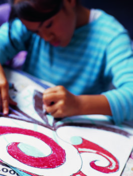 Maori Treasures Complex