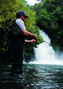 Marine Fishing