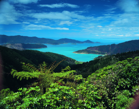 Marlborough Sounds