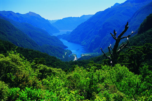 Fiordland National Park