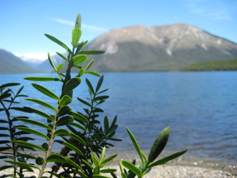Nelson Lakes National Park