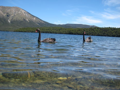 Nelson Lakes National Park