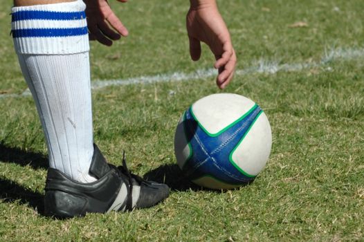 New Zealand Rugby Museum