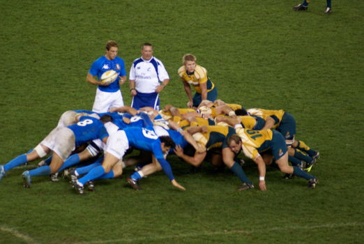 New Zealand Rugby Museum