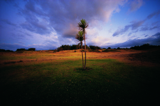 Ninety Mile Beach