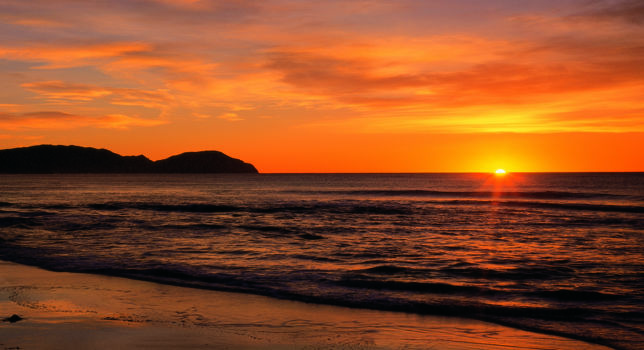Manly Beach