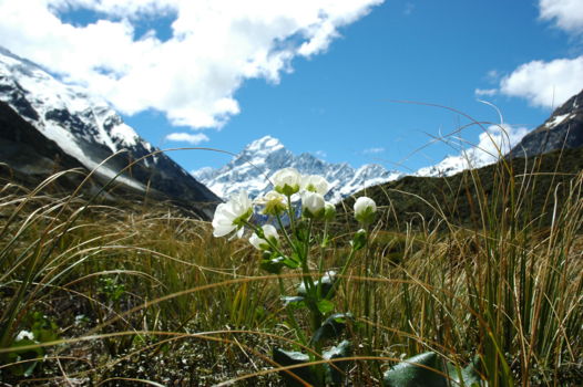 Paparoa National Park