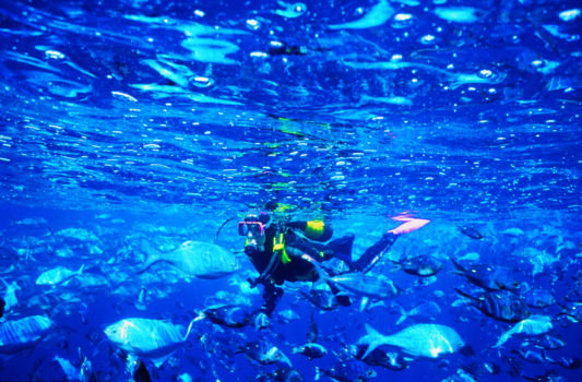 Poor Knights Islands