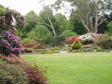 Powerco Taranaki Garden Festival
