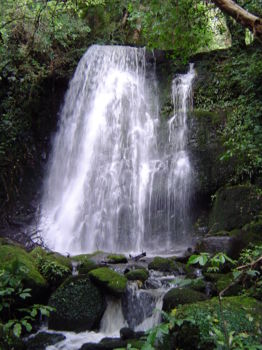 Purakaunui Falls