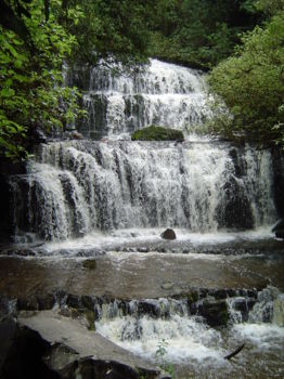 Purakaunui Falls