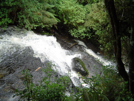 Purakaunui Falls