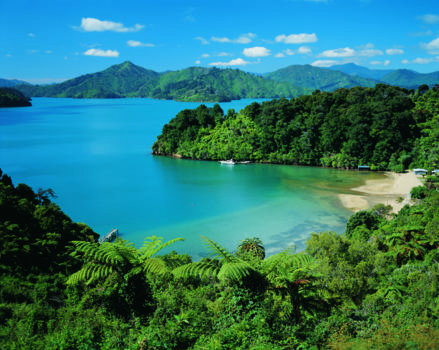 Queen Charlotte Drive