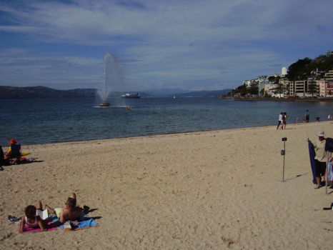 Queens Wharf, Days Bay en Matiu-Somes Island