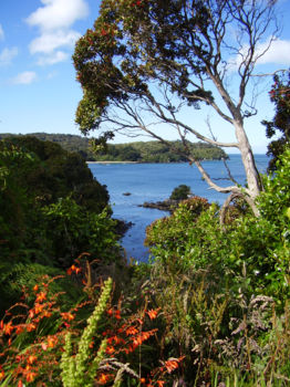 Rakiura Track