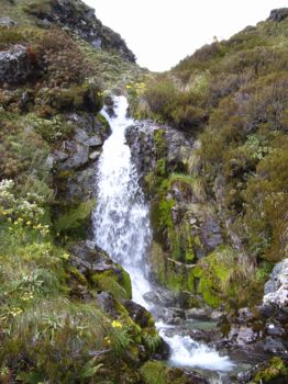 Routeburn Track