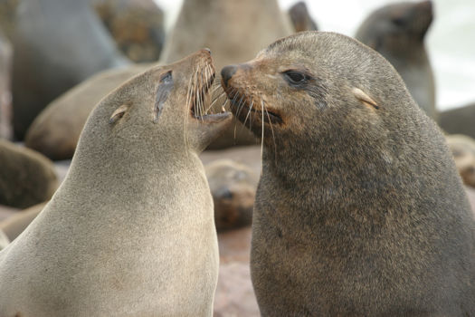 Sugar Loaf Islands Marine Park