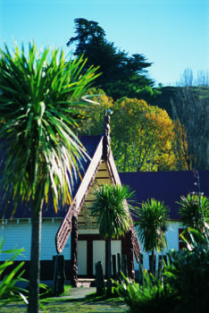 Tamaki Maori Village