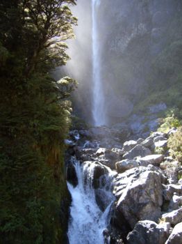 Te Urewera National Park