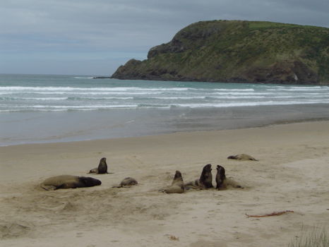 The Catlins