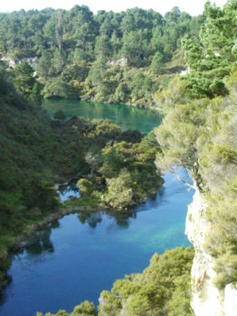 Te Waikoropupu Springs