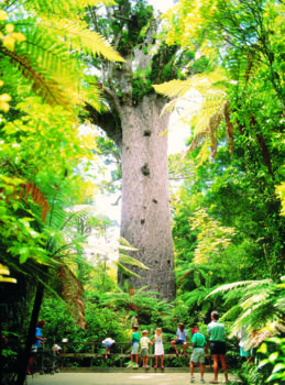Gumdiggers Park