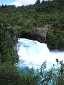 Wairakei Park