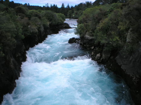 Wairakei Park