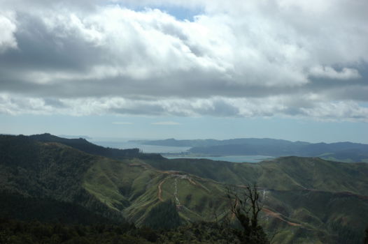 Waitakere Ranges