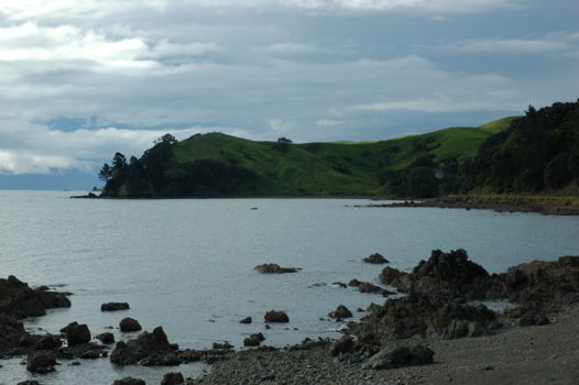 Waitakere Ranges