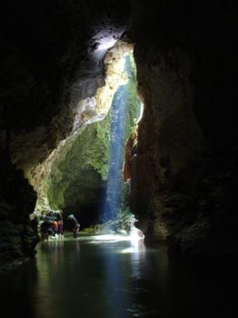 Waitomo Caves