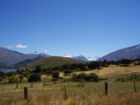 Wandelroute Wanaka