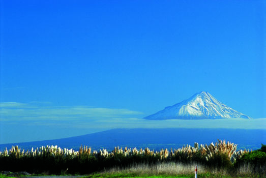 Whanganui National Park