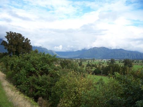 Whanganui National Park