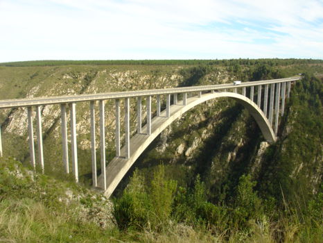 Bloukrans Bridge Bungy