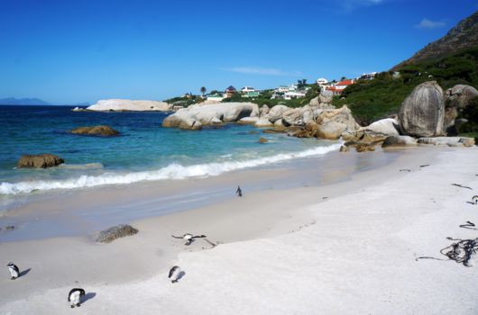 Boulders Beach