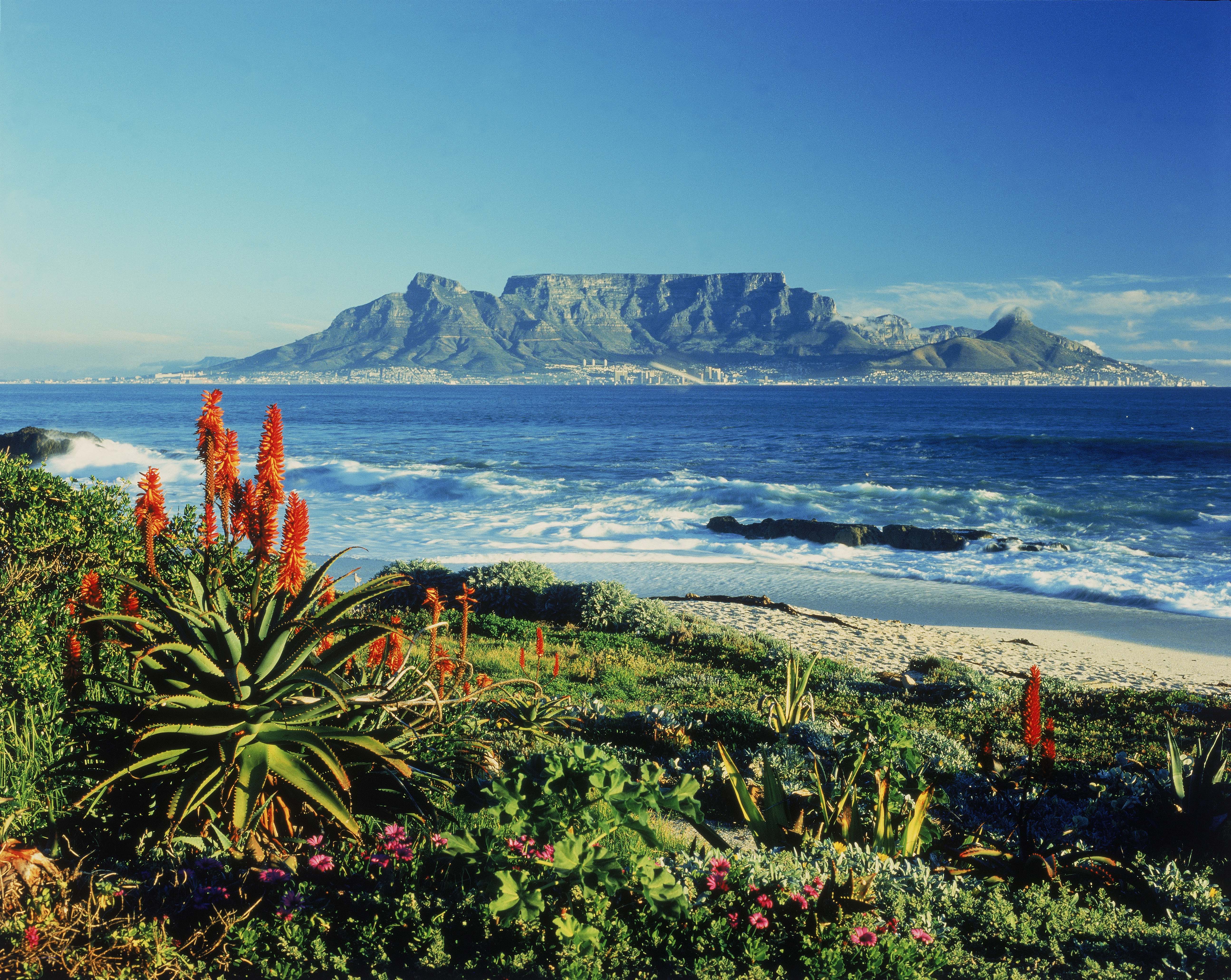 Table Mountain National Park Alle Tips Reviews En Reizen Vind Je Op 