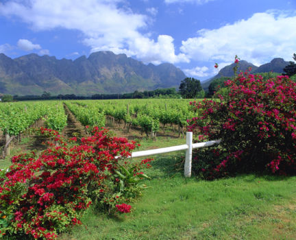 Franschhoek