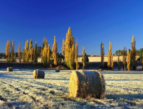 Eastern Highlands Route