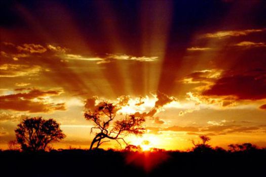 Gourits River Bridge Bungy
