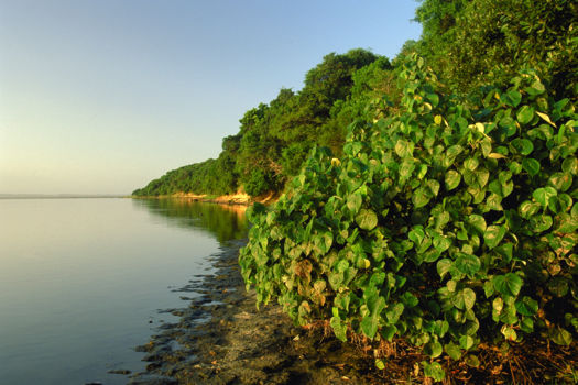 iSimangaliso Wetland Park
