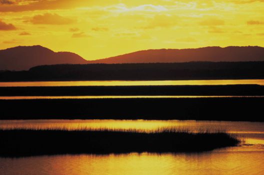 iSimangaliso Wetland Park