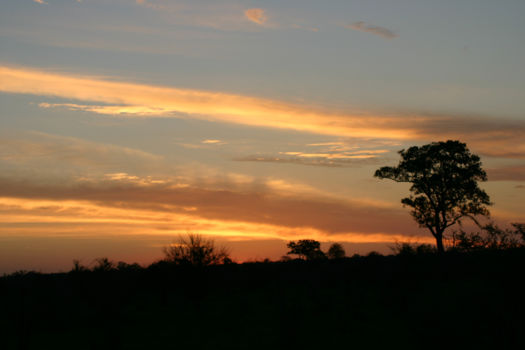 Krugerpark